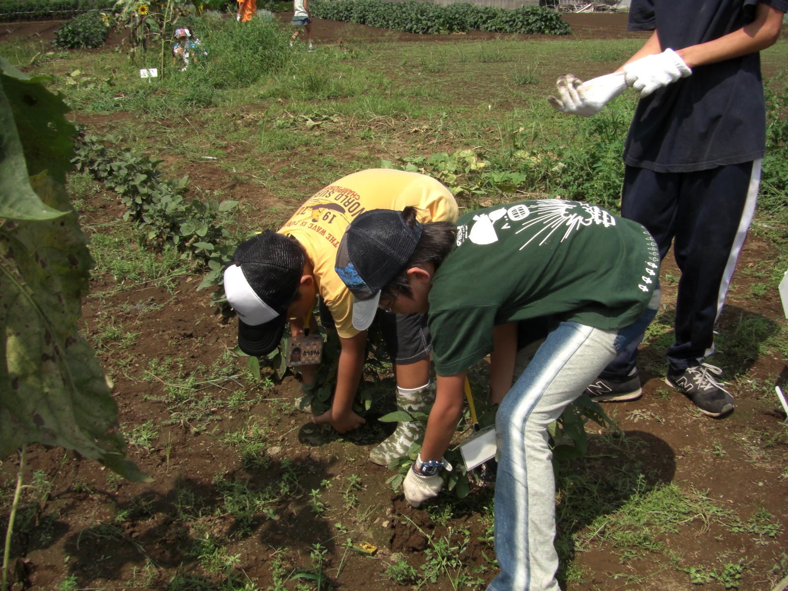 080907-025.JPG