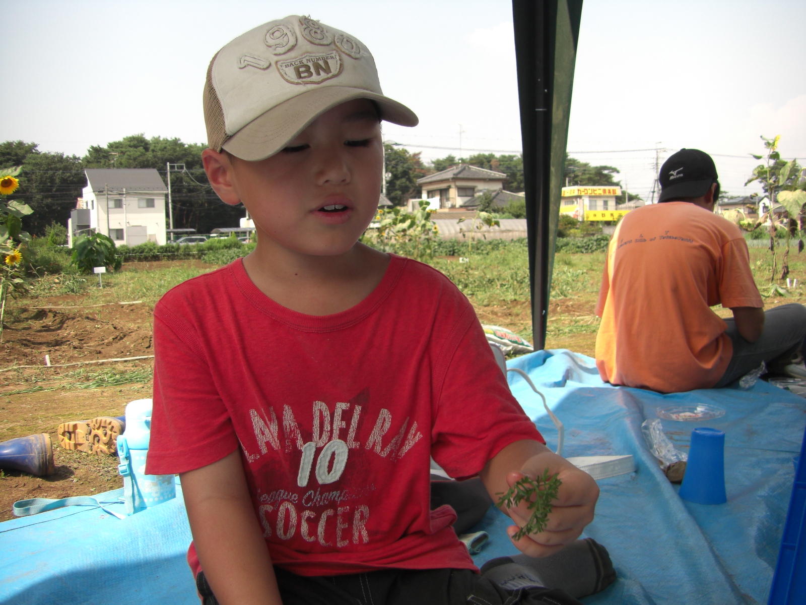 080907-039.JPG