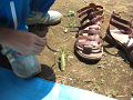 080907-055_thumb.png