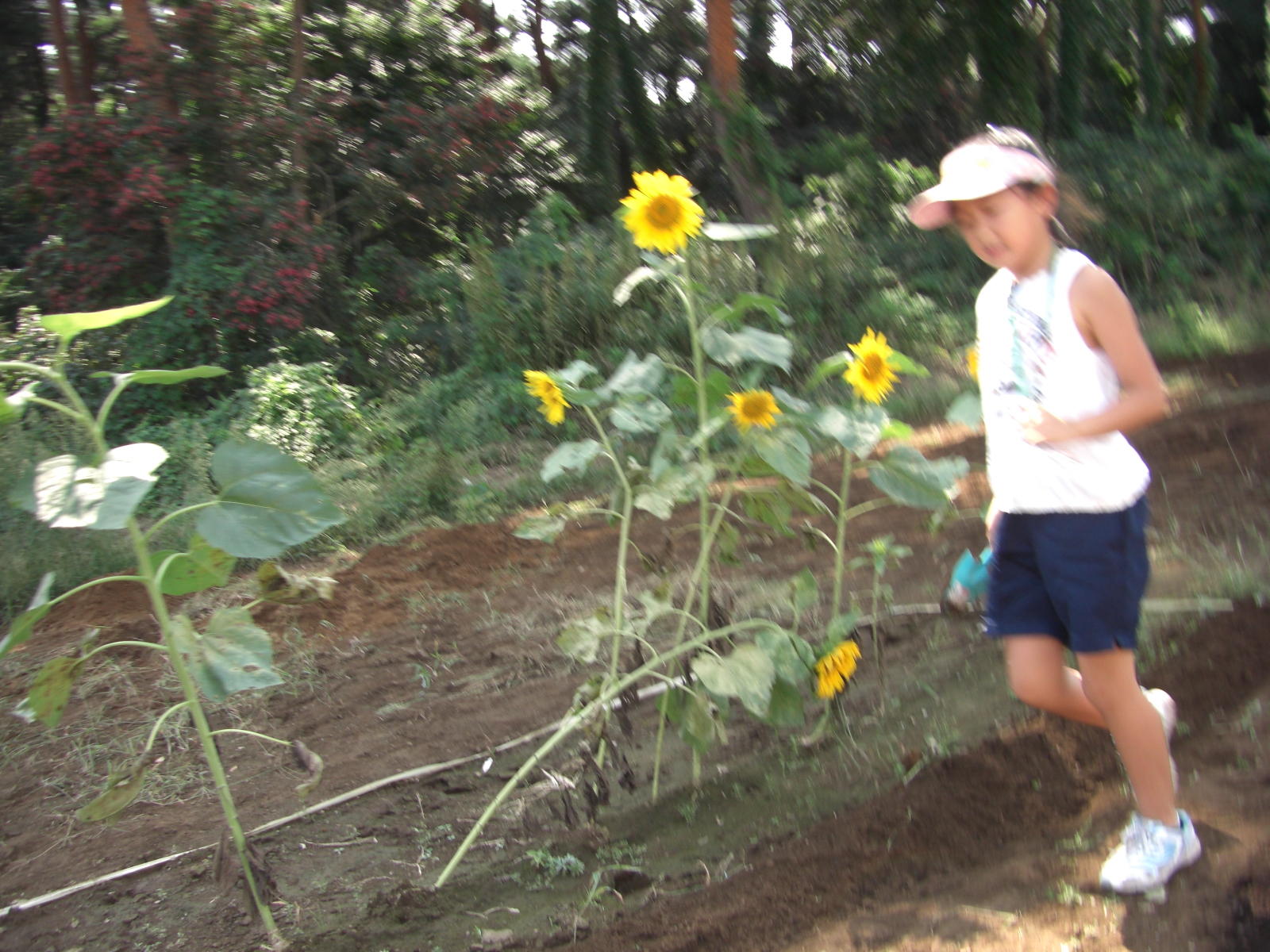 080907-062.JPG