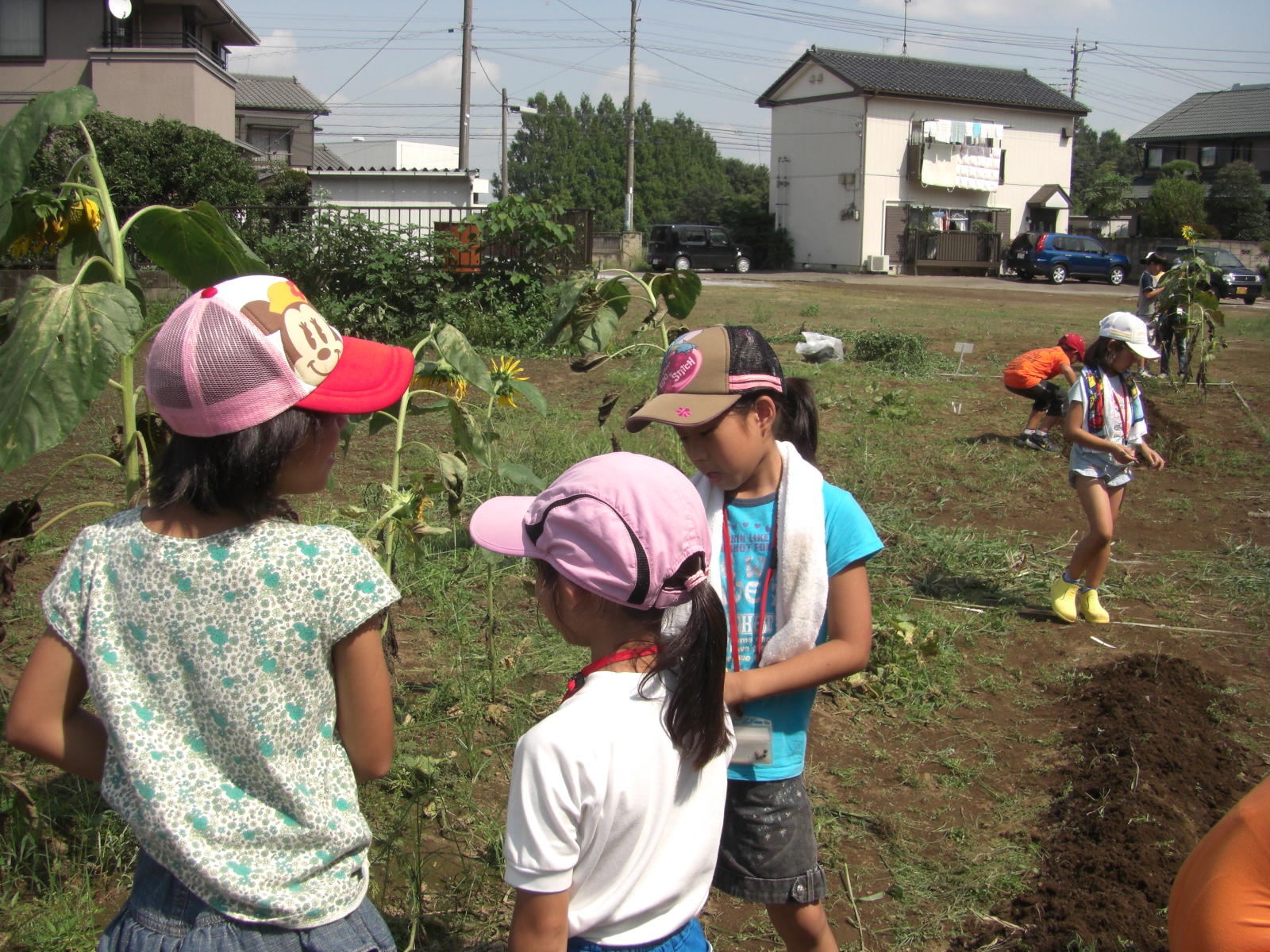 080907-073.JPG