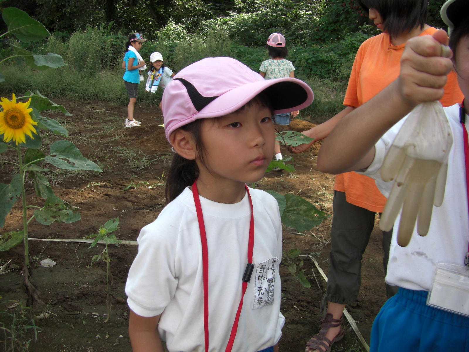 080907-089.JPG