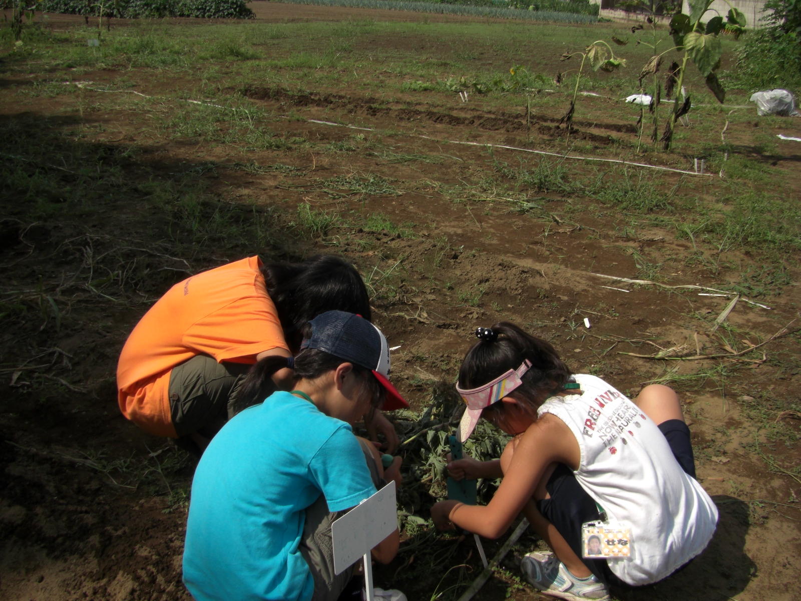 080907-096.JPG