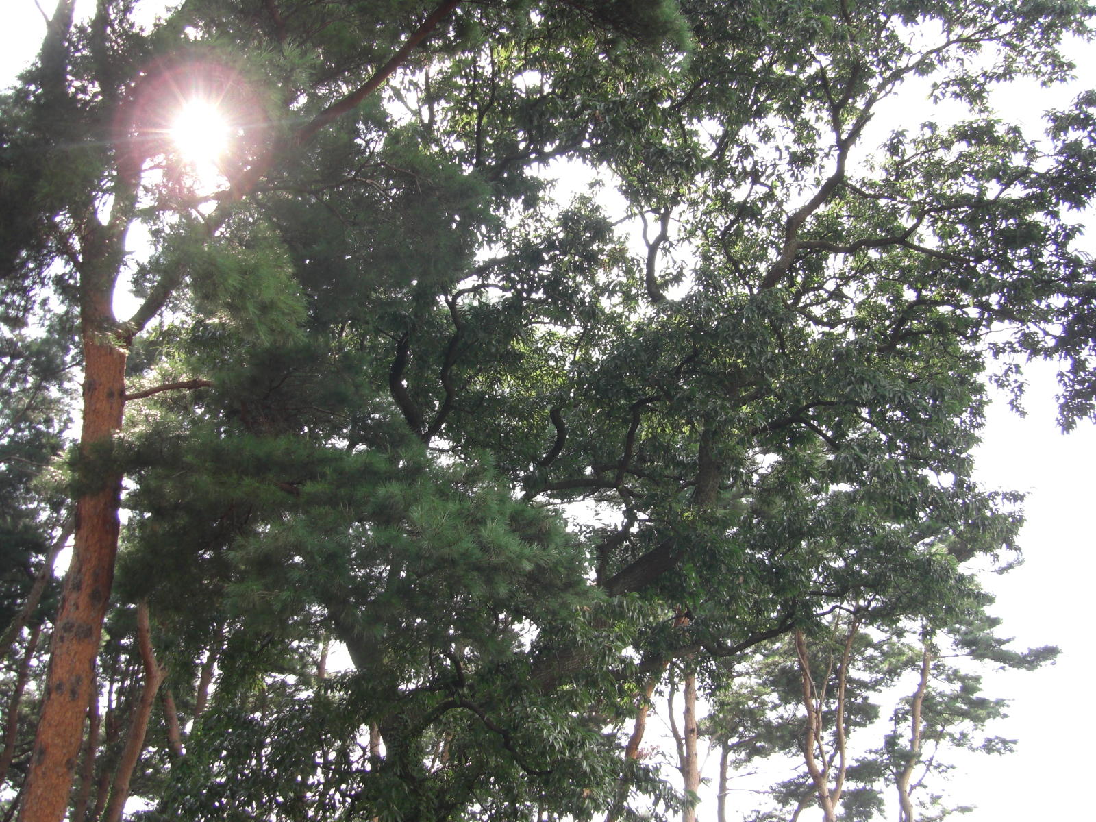 080907-102.JPG