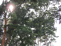 080907-102_thumb.png