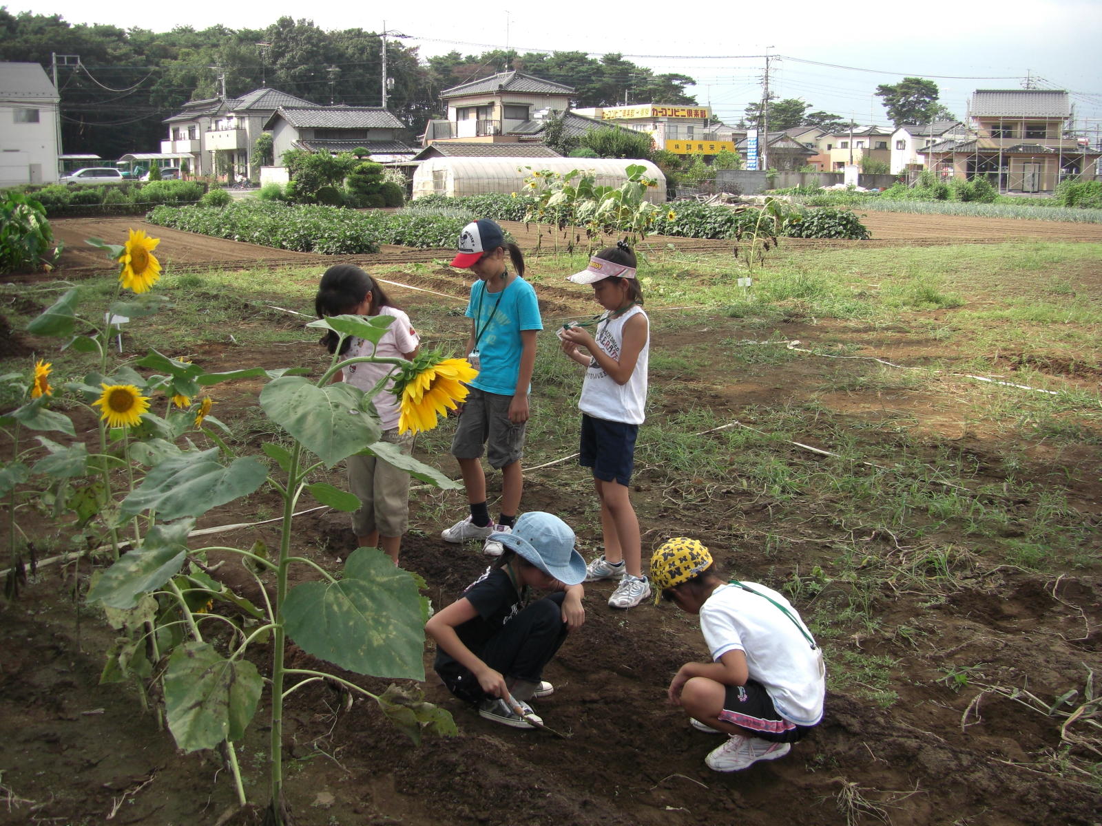 080907-105.JPG