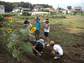 080907-105_thumb.png