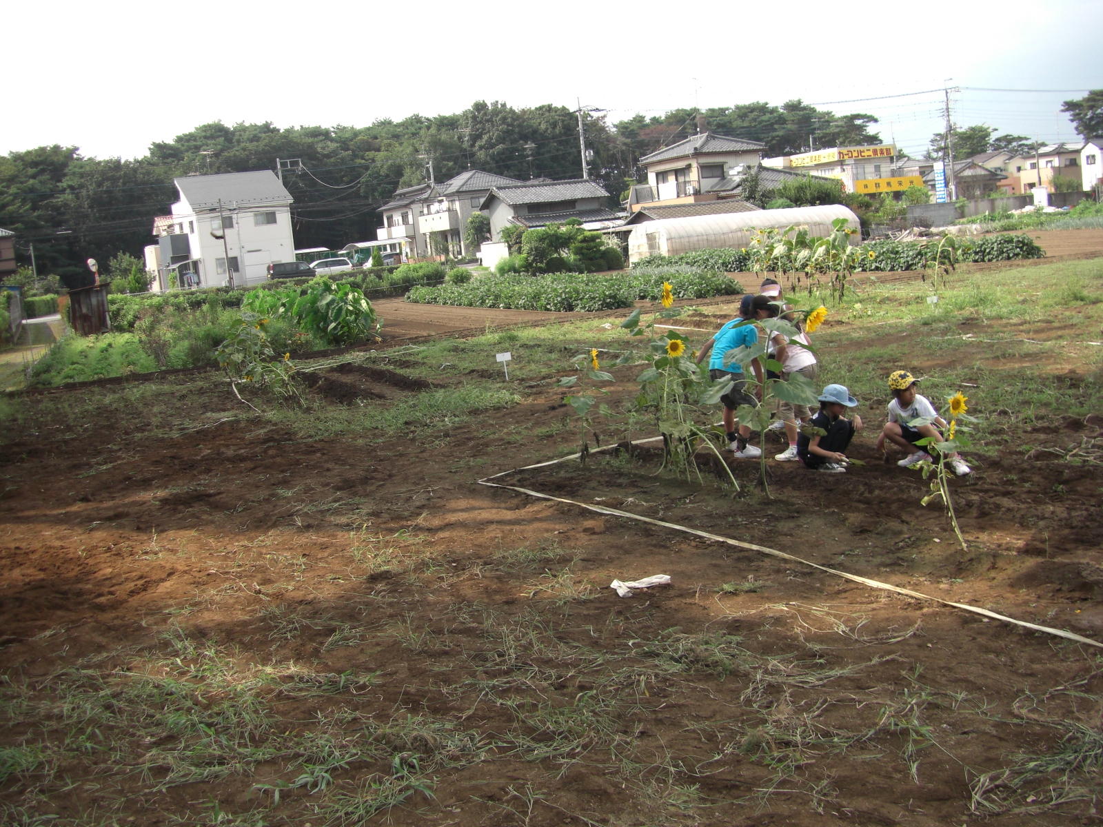 080907-108.JPG