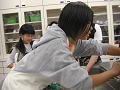 081005-019_thumb.png