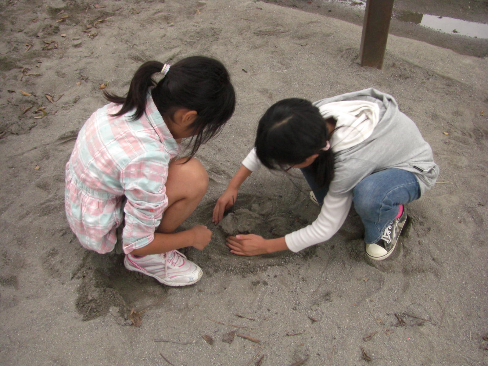 081005-097.JPG
