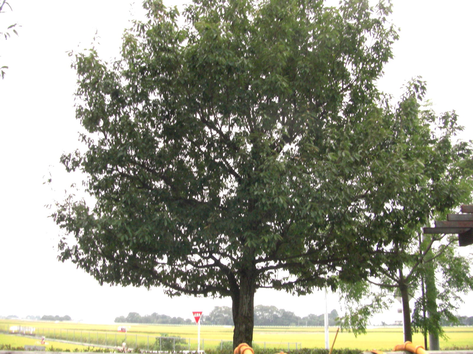 081005-102.JPG