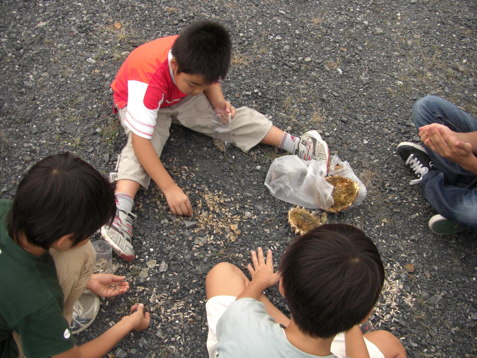 081005-107.JPG