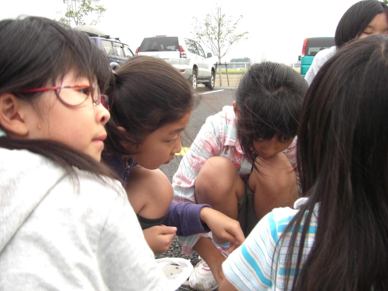 081005-116.JPG